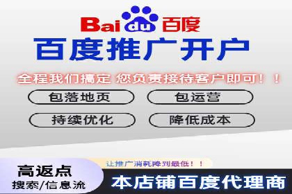 SEO与百度广告的结合：双管齐下的推广案例